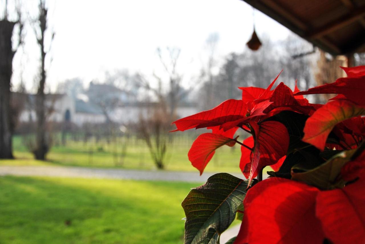 Villa Stefania Noventa Padovana Exteriör bild